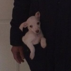 Meet your Posher, Nancy